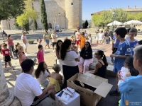 𝗘𝗟 𝗩𝗘𝗥𝗔𝗡𝗢 𝗖𝗨𝗟𝗧𝗨𝗥𝗔𝗟 𝗗𝗘 𝗧𝗢𝗥𝗜𝗝𝗔 𝗖𝗢𝗡𝗧𝗜𝗡𝗨́𝗔 𝗖𝗢𝗡 𝗗𝗜𝗙𝗘𝗥𝗘𝗡𝗧𝗘𝗦 𝗖𝗔𝗠𝗣𝗘𝗢𝗡𝗔𝗧𝗢𝗦 𝗬 𝗢𝗥𝗜𝗚𝗜𝗡𝗔𝗟𝗘𝗦 𝗔𝗖𝗧𝗜𝗩𝗜𝗗𝗔𝗗𝗘𝗦