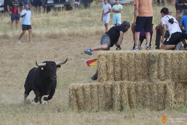 EMOCIÓN EN EL PRIMER ENCIERRO POR EL CAMPO DE TORIJA CON TORRESTRELLA Y ZALDUENDO