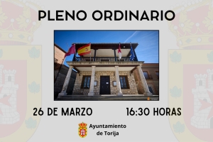 PLENO ORDINARIO