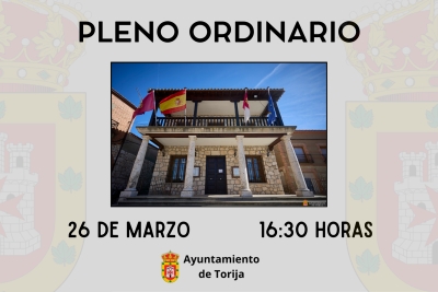 PLENO ORDINARIO
