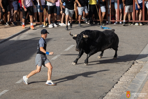 EL SEGUNDO ENCIERRO DE LAS FIESTAS DE SAN CRISTÓBAL VUELVE A LLENAR LAS CALLES DE TORIJA