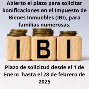 IBI FAMILIAS NUMEROSAS 2025