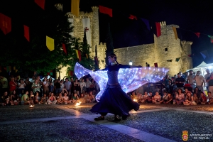 RESUMEN XX FIESTA DE LA HISTORIA DE TORIJA