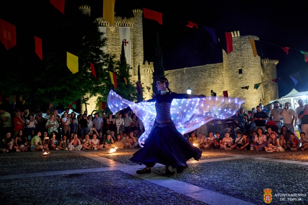 RESUMEN XX FIESTA DE LA HISTORIA DE TORIJA