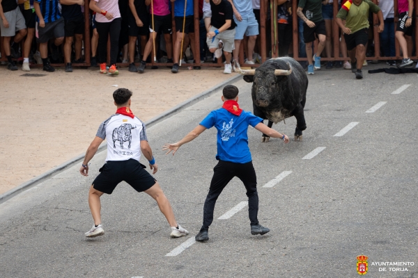 REVIVE LAS FIESTAS DE SAN CRISTÓBAL 2026 EN TORIJA CON ESTE VÍDEO RESUMEN