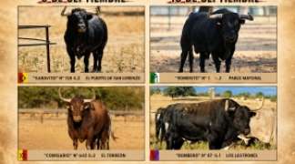 TORIJA PRESENTA LOS TOROS DE LOS ENCIERROS POR EL CAMPO 2026
