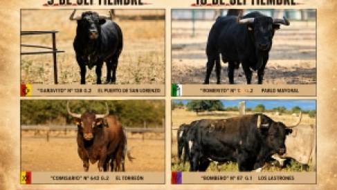 TORIJA PRESENTA LOS TOROS DE LOS ENCIERROS POR EL CAMPO 2026