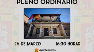 PLENO ORDINARIO