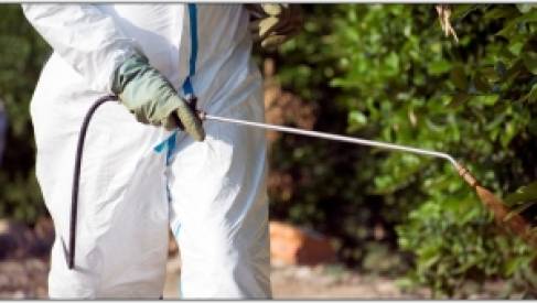 AVISO A LOS VECINOS: TRATAMIENTOS FITOSANITARIOS