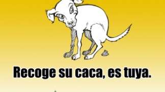 Entra en vigor la nueva ordenanza municipal de tenencia y protección de animales.