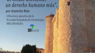EL MEDIO AMBIENTE, UN DERECHO HUMANO MÁS