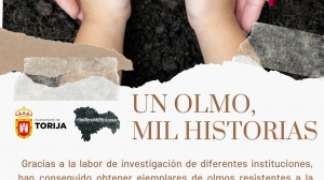 UN OLMO, MIL HISTORIAS.