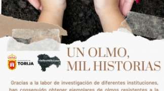 UN OLMO, MIL HISTORIAS.