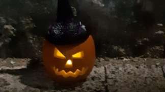 Calabazas Ganadoras.